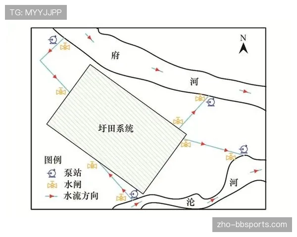 消费者需求从单一运动向“运动+文化+生态”复合型体验转变。